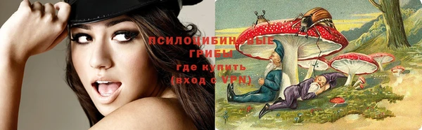 Альфа ПВП Белоозёрский